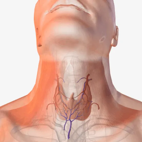 Χειρουργική θυρεοειδούς - Thyroid surgery